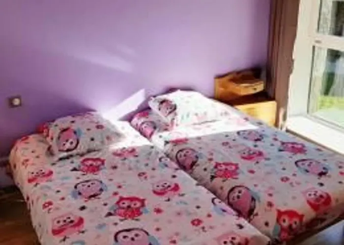 Prázdninový dům Renove Ideal Pour Randos Et Astronomie, Calme Assure, Proche Puy-en-velay Et Activites Nature. - Fr-1-582-318