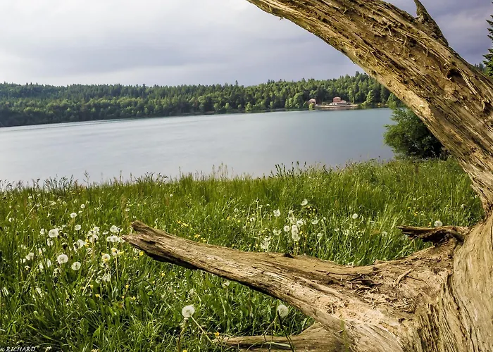 Prázdninový dům Renove Ideal Pour Randos Et Astronomie, Calme Assure, Proche Puy-en-velay Et Activites Nature. - Fr-1-582-318 Le Vernet (Haute-Loire)